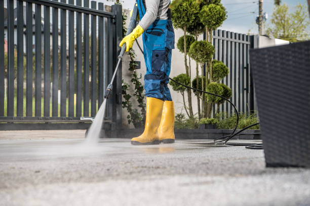 Best Roof Washing  in Iola, KS